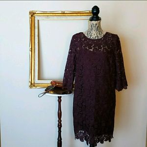 NEW * ANN TAYLOR LOFT Women's Wine Lace Long Sleeve Holiday Midi Dress Size 10